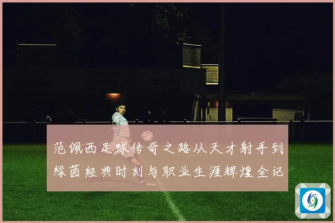 范佩西足球传奇之路从天才射手到绿茵经典时刻与职业生涯辉煌全记录