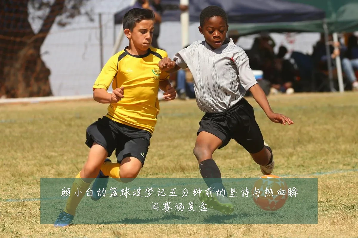 颜小白的篮球追梦记五分钟前的坚持与热血瞬间赛场复盘