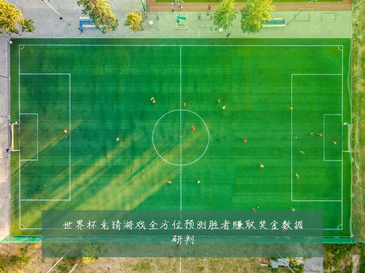 世界杯竞猜游戏全方位预测胜者赚取奖金数据研判